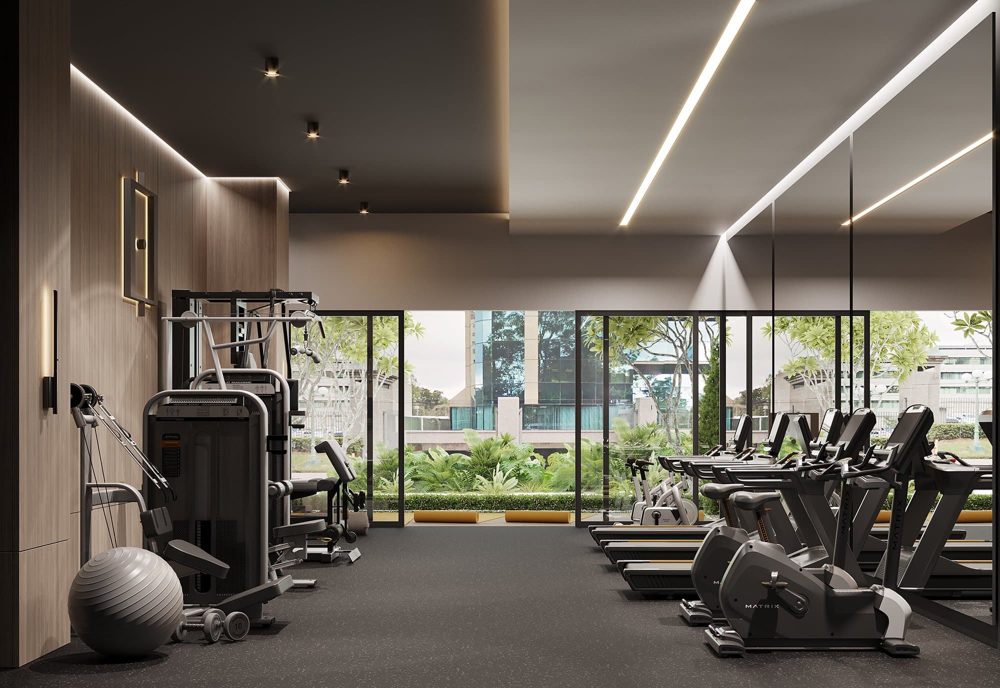 Gimnasio